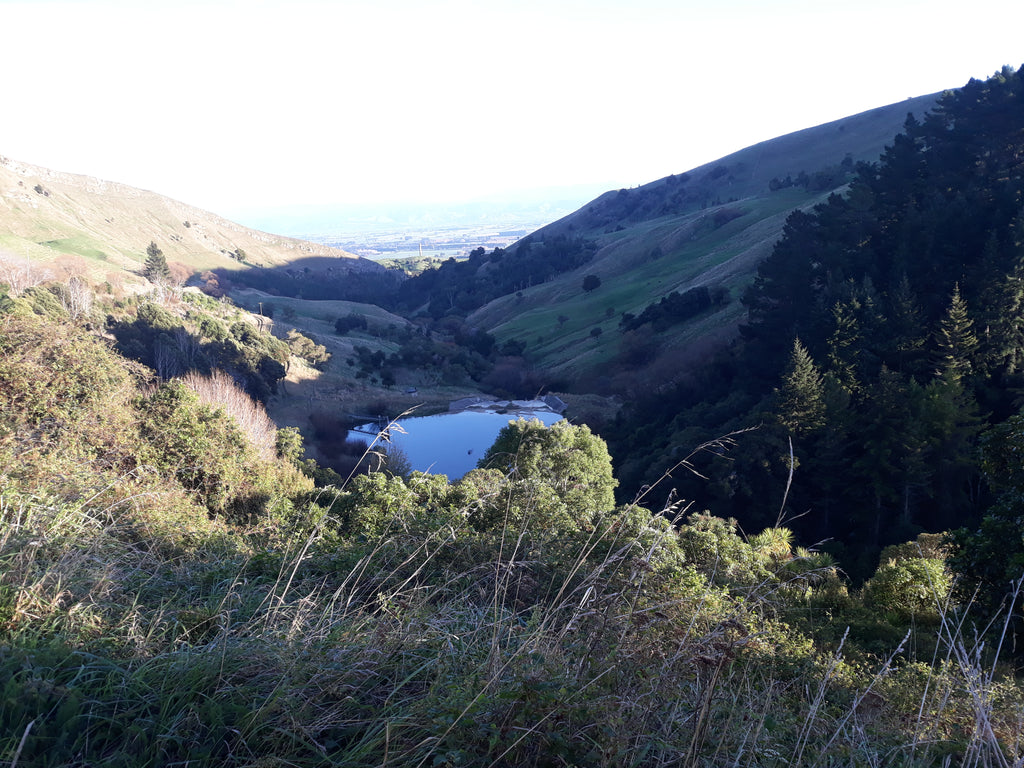 The  Wairarapa Wander